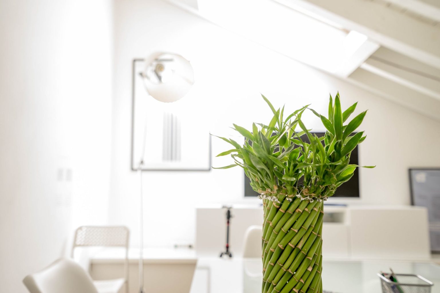 The Role Of Virtual Care And Telehealth In Making Healthcare Greener