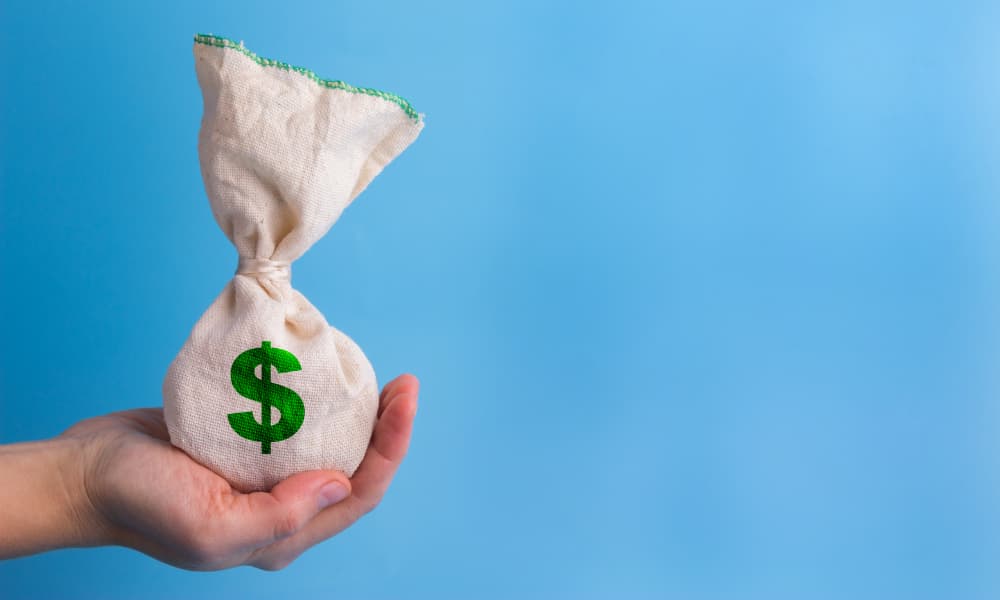 a bag of money that was saved