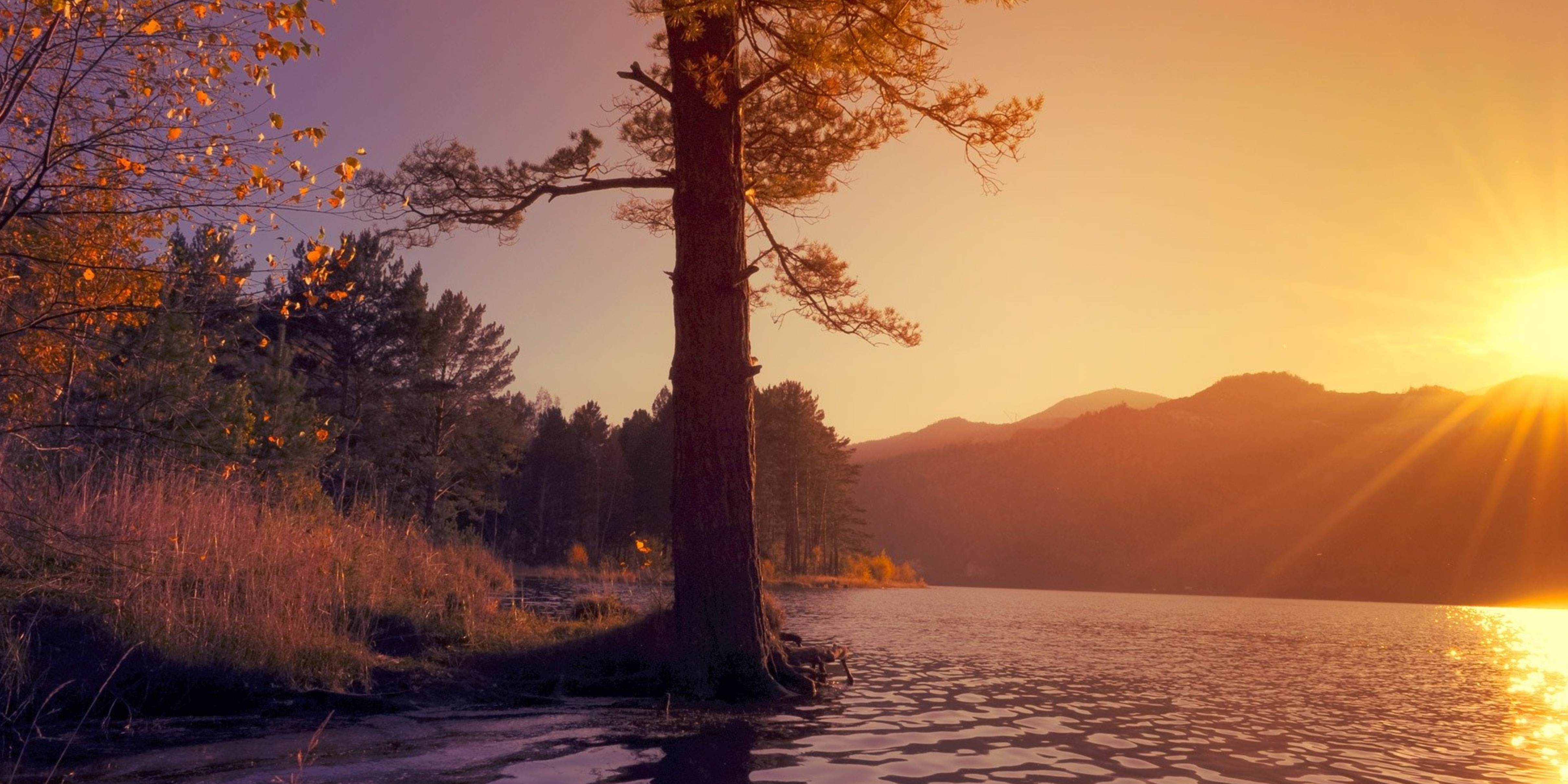 Nature As A Way To Boost Your Mental Health